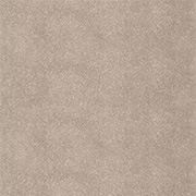 Alternative Flooring Plush Velvet Topaz Carpet 8201