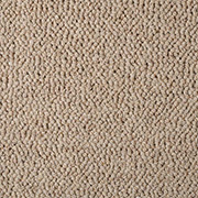 Alternative Flooring Wool Knot Timber 1873 - 100% Wool Loop Pile - Fitted Within 25 Miles of Nottingham or supply only at the very best prices UK wide. Call 0115 9455584