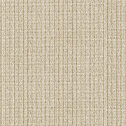 Alternative Flooring Wool Rhythm Antoine Carpet 2863