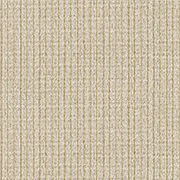 Alternative Flooring Wool Rhythm Antoine Carpet 2863