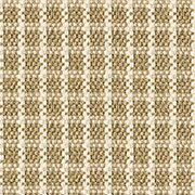 Alternative Flooring Woosie Check Wild Carpet 2140