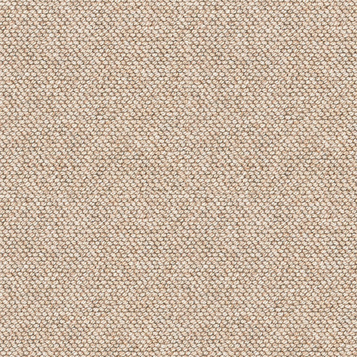 Brockway Carpets Beachcomber Barnacle