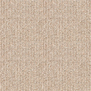 Brockway Carpets Beachcomber Strand Barnacle, from Kings Carpets - the ideal place to buy Brockway Carpets and Flooring. Call Today - 0115 9455584