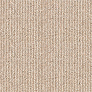 Brockway Carpets Beachcomber Strand Barnacle, from Kings Carpets - the ideal place to buy Brockway Carpets and Flooring. Call Today - 0115 9455584