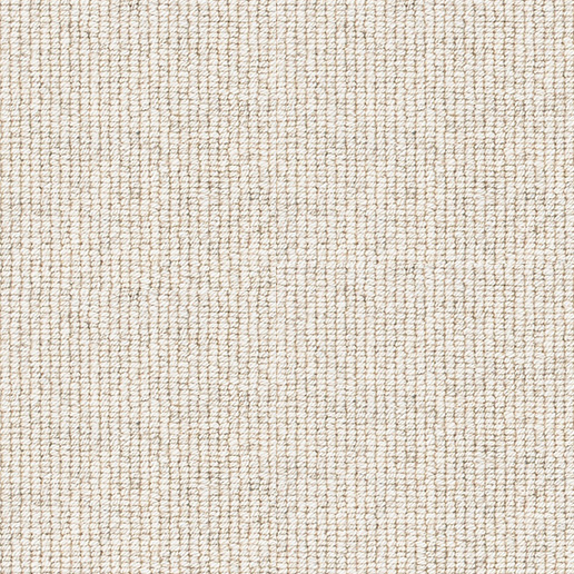 Brockway Carpets Beachcomber Strand Driftwood