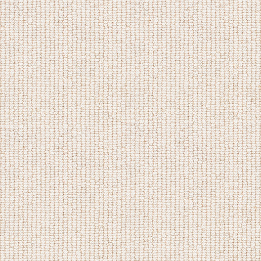 Brockway Carpets Beachcomber Strand Pebble