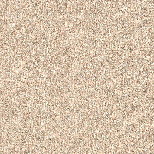 Brockway Carpets Dimensions Heathers 40oz Natural Heather DH5 4793
