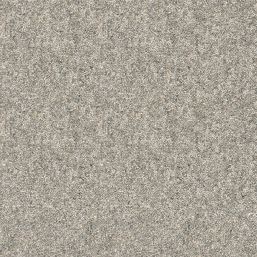 Brockway Carpets Dimensions Heathers 40oz Twist Artic Grey DH5 4790