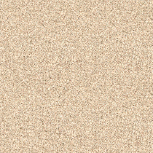 Brockway Carpets Dimensions Plain 40oz Twist Barley DIM5 0031 