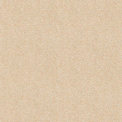 Brockway Carpets Dimensions Plain 40oz Twist Barley DIM5 0031 