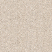 Brockway Carpets Dimensions Plain 40oz Twist Champagne DIM4 0011