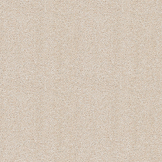 Brockway Carpets Dimensions Plain 40oz Twist Champagne DIM4 0011