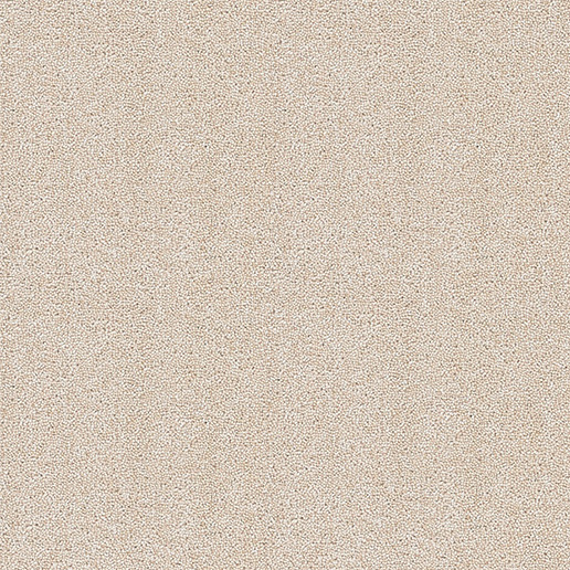 Brockway Carpets Dimensions Plain 40oz Twist Champagne DIM4 0011