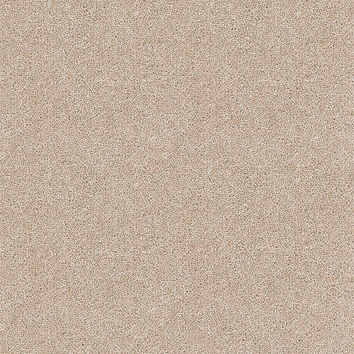 Brockway Carpets Dimensions Plain 40oz Twist Dark Tusk DIM4 0024