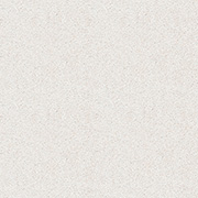 Brockway Carpets Dimensions Plain 40oz Twist Old White DIM4 0038