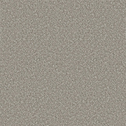 Cormar Carpets Apollo Plus Persian Doll - Easy Clean Carpet - Free Fitting in 25 Mile Radius of Nottingham