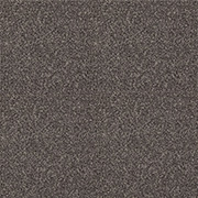 Cormar Carpets Inglewood Saxony Carbon - Easy Clean Twist Carpet - Free Fitting Within 25 Miles of Nottingham