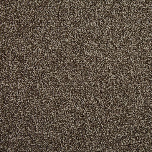 Cormar Carpets Primo Choice Elite Brazil Nut