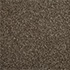 Cormar Carpets Primo Choice Elite Brazil Nut
