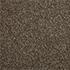 Cormar Carpets Primo Choice Elite Brazil Nut