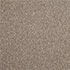 Cormar Carpets Primo Choice Elite Cookie