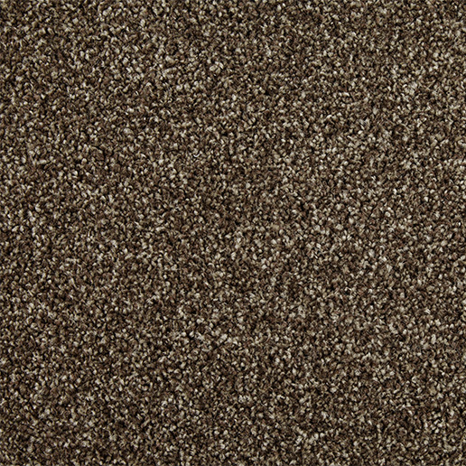 Cormar Carpets Primo Choice Elite Truffle