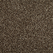 Cormar Carpets Primo Choice Super Truffle