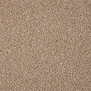 Cormar Carpets Primo Grande Curlew - Easy Clean Twist Carpet - Free Fitting Within 25 Miles of Nottingham