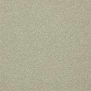 Cormar Carpets Primo Plus Portland Stone - Easy Clean Twist Carpet - Free Fitting Within 25 Miles of Nottingham