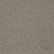  Cormar Carpets Primo Plus Theakston Taupe - Easy Clean Twist Carpet - Free Fitting Within 25 Miles of Nottingham