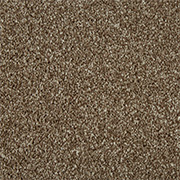Cormar Carpets Primo Ultra Chocolate - Easy Clean Twist Carpet - Free Fitting Within 25 Miles of Nottingham