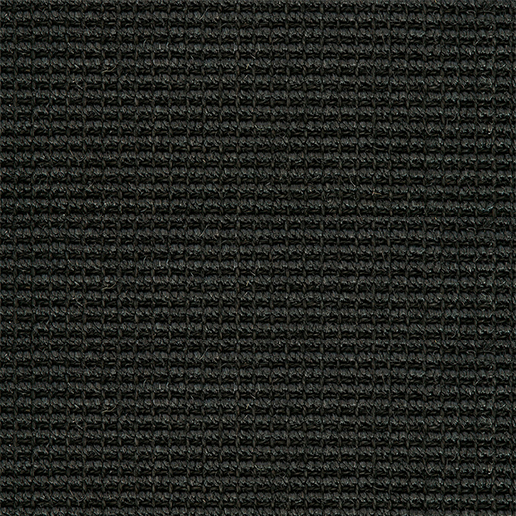 Crucial Trading Big Boucle Accents Sisal Black Carpet E680