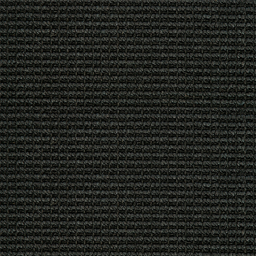 Crucial Trading Big Boucle Accents Sisal Black Carpet E680