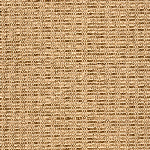 Crucial Trading City Sisal Corn Carpet CY305