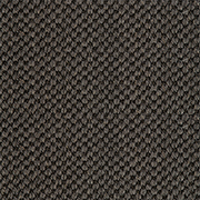 Crucial Trading Oriental Sisal Carbon Carpet E109