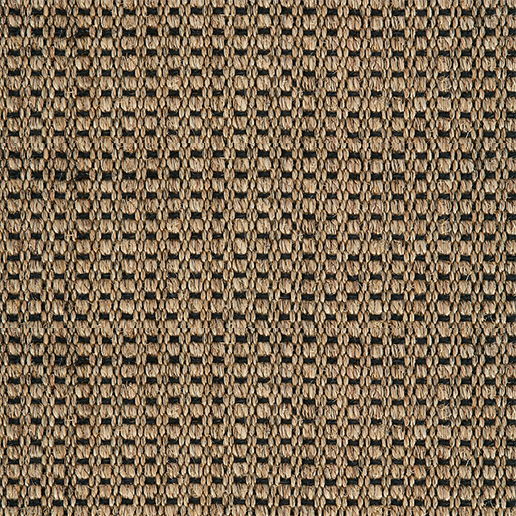 Crucial Trading Panama N / Champagne Black Carpet E221