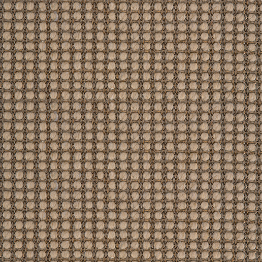Crucial Trading Sisool Tric Caramel Carpet M807