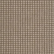 Crucial Trading Sisool Tric Mocha Carpet M808