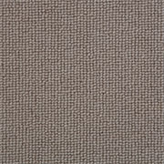 Crucial Trading Biscayne Plain Grey Ash Carpet BS121