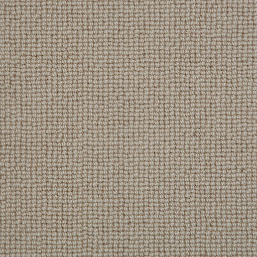 Crucial Trading Biscayne Plain Wild Mushroom Carpet BS120