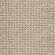 Crucial Trading Enchanted Soft Sands Wool Loop Pile Carpet WE101