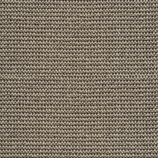 Crucial Trading Grace Sandy Shore Carpet WG102