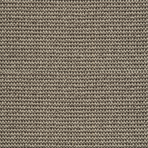 Crucial Trading Grace Sandy Shore Carpet WG102