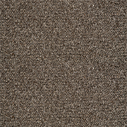 Crucial Trading Jasmine Grey Orchid Carpet WJ204