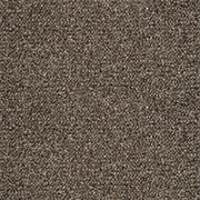 Crucial Trading Jasmine Grey Orchid Carpet WJ204