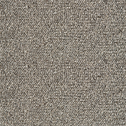 Crucial Trading Jasmine Silver Thistle Carpet WJ202