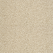 Crucial Trading Jasmine White Lilley Carpet WJ200 