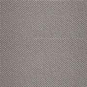 Crucial Trading Pearl Chic Steel Wool Loop Pile Carpet WP105