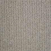 Crucial Trading Pride Silver Pearl Carpet WP353