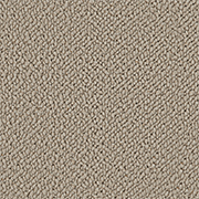 Crucial Trading Snug Soft Sands Carpet SN501